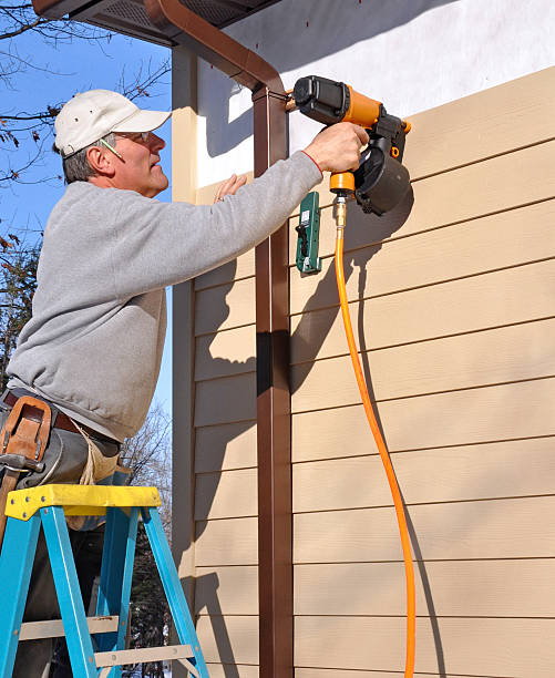 Affordable Siding Repair and Maintenance Services in Carterville, IL